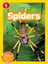 Cover image for Spiders